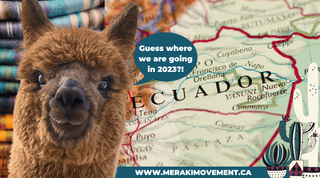 Happy New Year - What’s new - Ecuador Trip - Meraki Movement