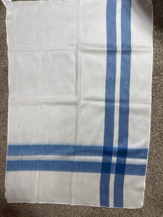 Blue & Whitey Baby Blanket