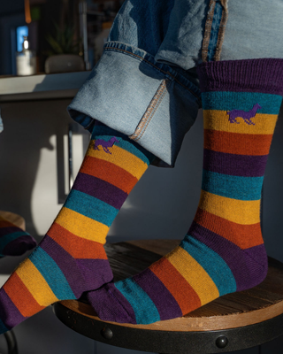 Small Carnival Skies Alpaca Socks