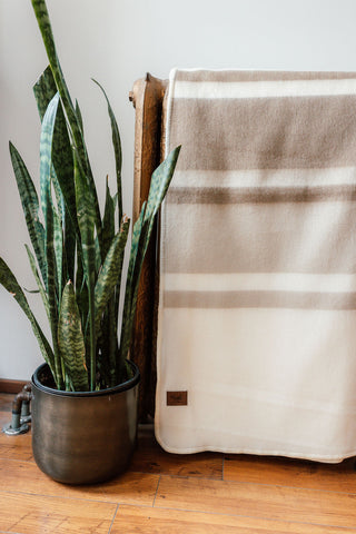Oat Milk Alpaca Throw Blanket