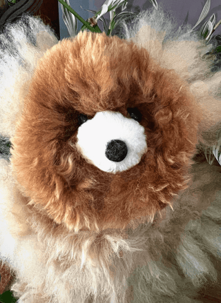 Boo Boo The Alpaca Teddy Bear | Meraki Movement